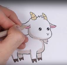 Drawing a lamb